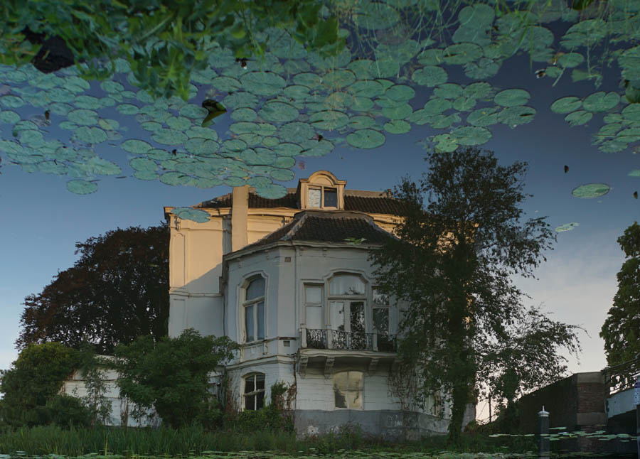 WittehuisWitteSingel1aklein.jpg